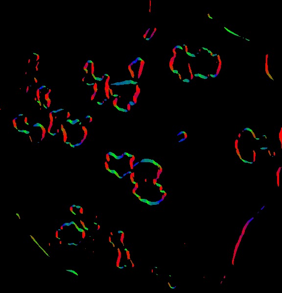 steerable filter orientations of crystal image